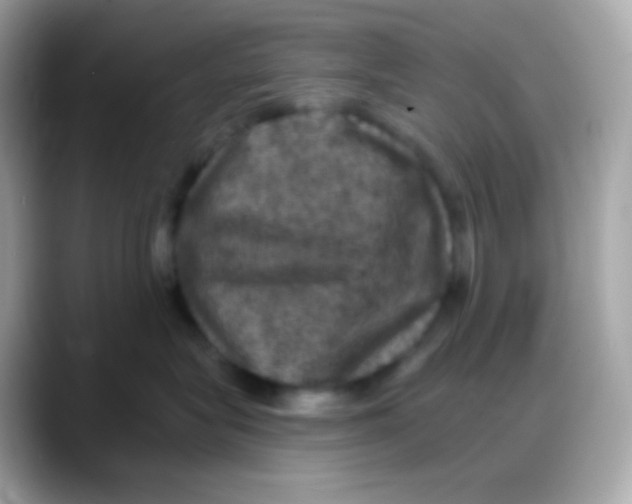 X0000088140575200706042011