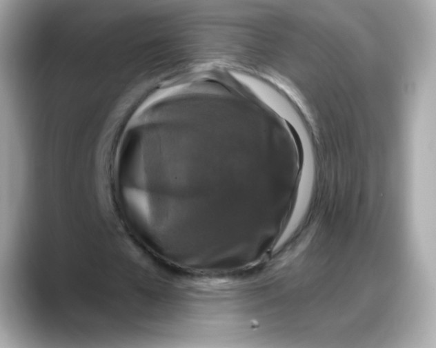 X0000088140577200706042011