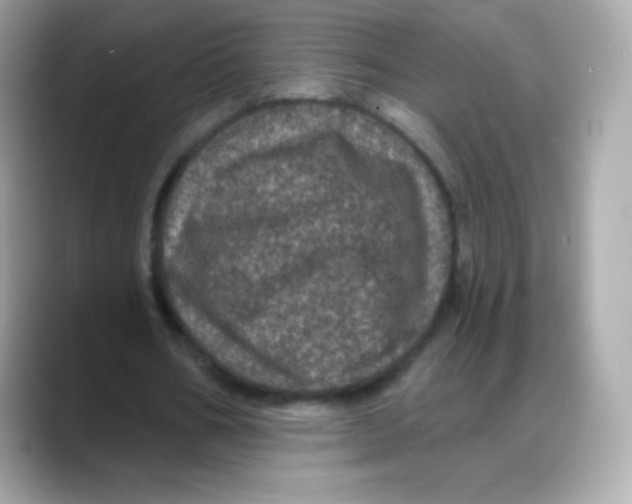 X0000088140578200706042011