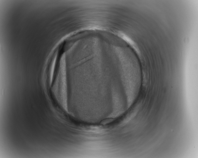 X0000088140580200706042011