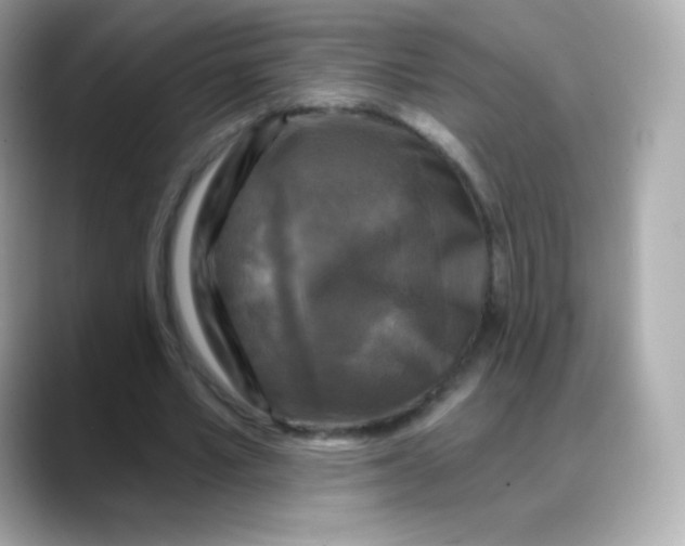 X0000088140581200706042011