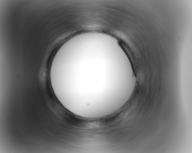 X0000088140583200706042011