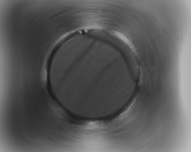 X0000088140584200706042011