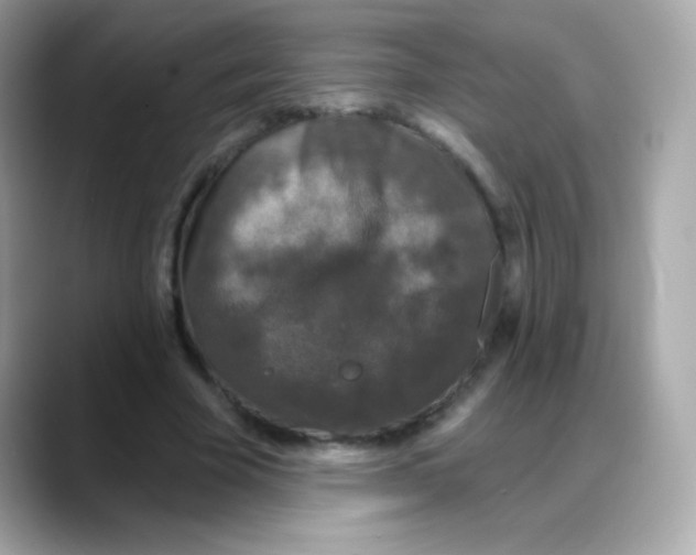 X0000088140585200706042011