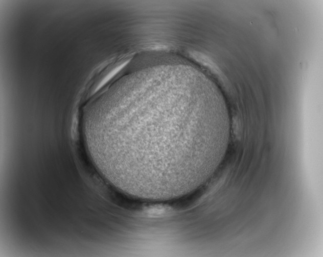 X0000088140587200706042011