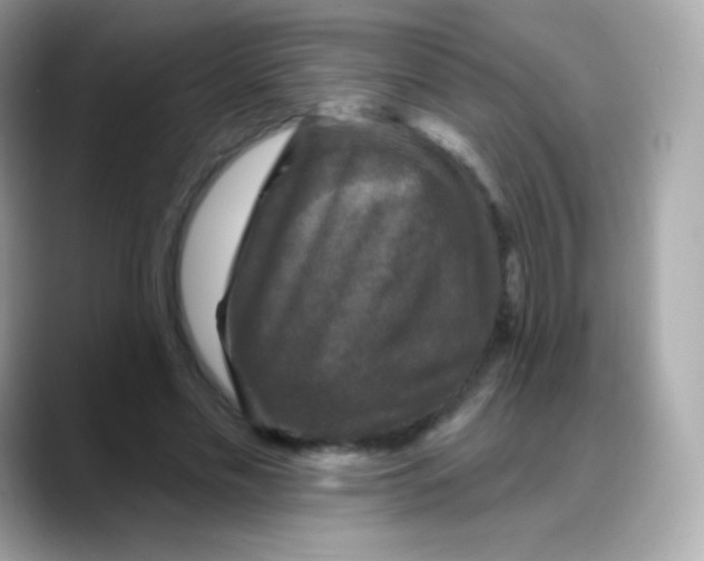 X0000088140589200706042010