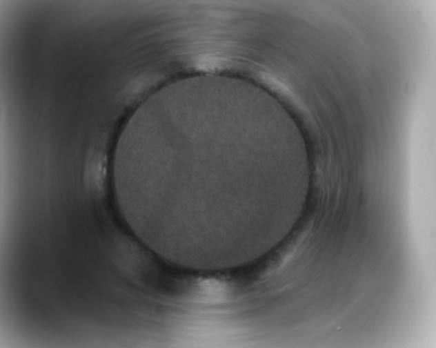 X0000088140592200706042010