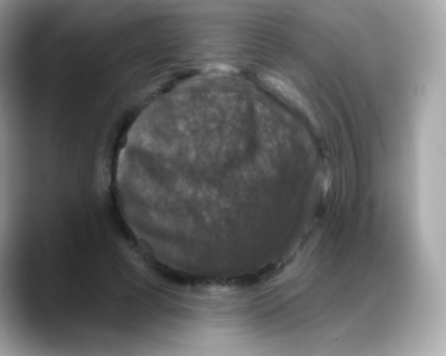 X0000088140593200706042010