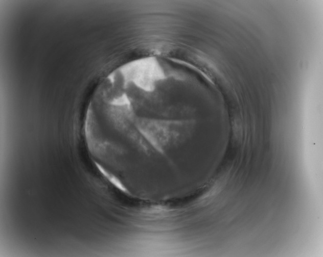 X0000088140594200706042010