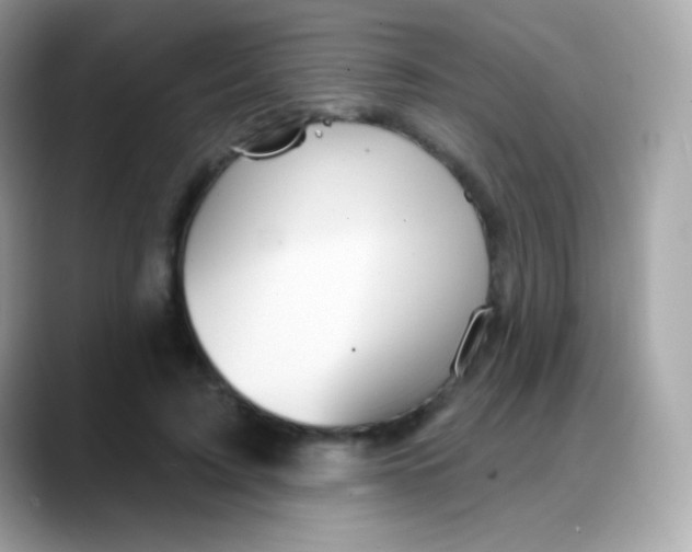 X0000088140595200706042010