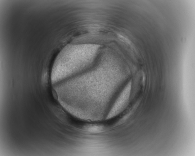 X0000088140597200706042010