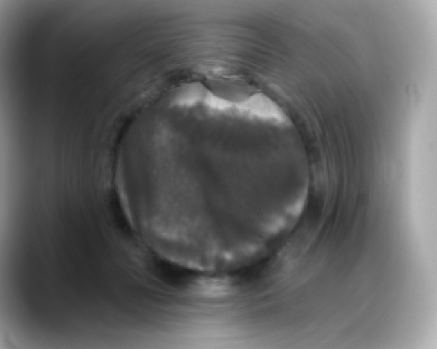 X0000088140606200706042010