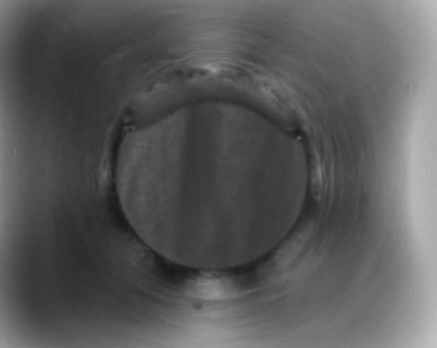 X0000088140608200706042010