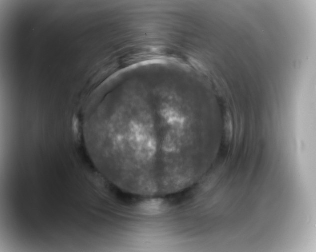 X0000088140609200706042010