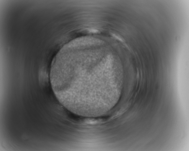 X0000088140613200706042010