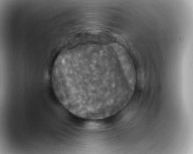 X0000088140614200706042010