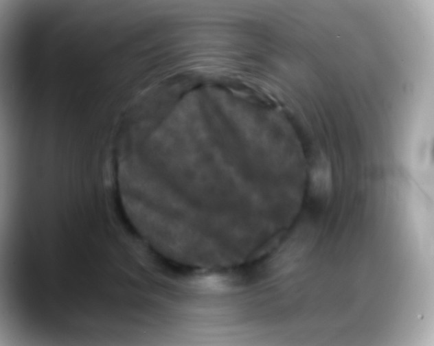 X0000088140620200706042010