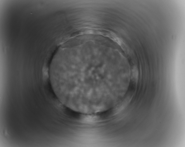 X0000088140621200706042010