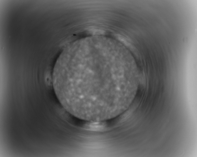 X0000088140622200706042010