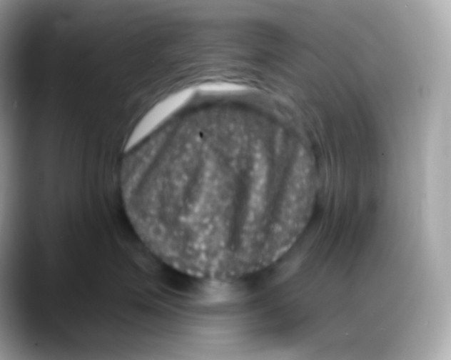 X0000088140623200706042010