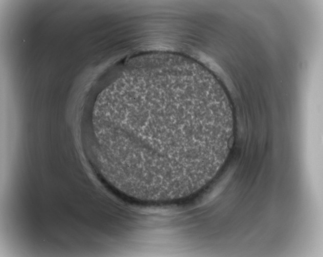 X0000088140625200706042009