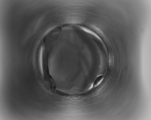 X0000088140627200706042009