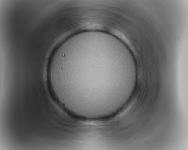 X0000088140629200706042009