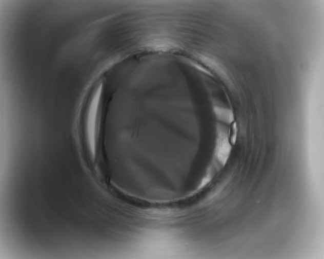 X0000088140630200706042009