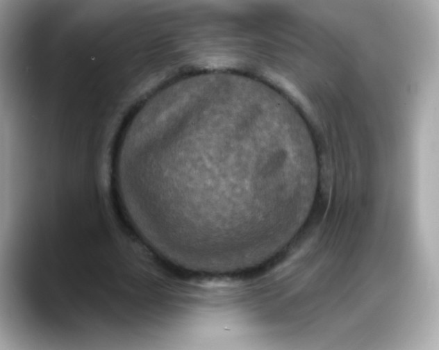 X0000088140631200706042009