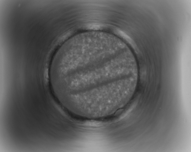 X0000088140633200706042010