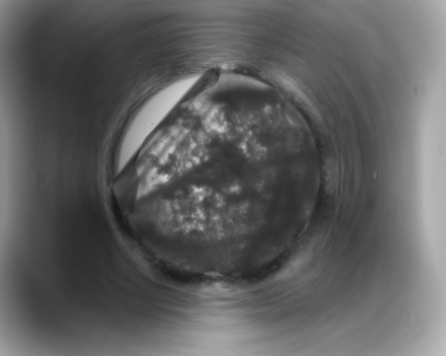 X0000088140634200706042010