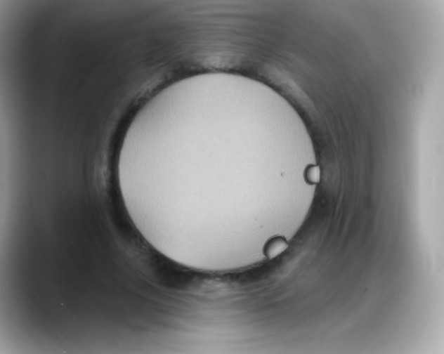 X0000088140635200706042010