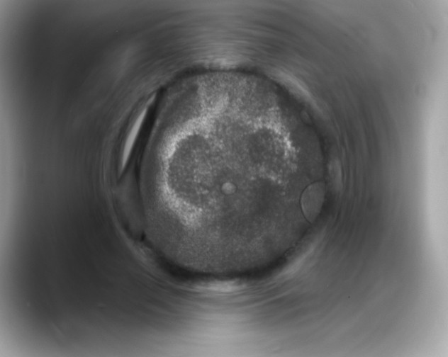 X0000088140638200706042010