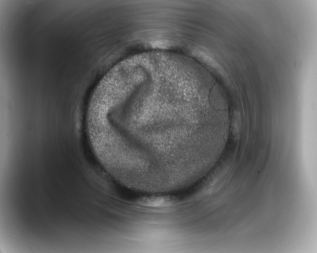 X0000088140639200706042010