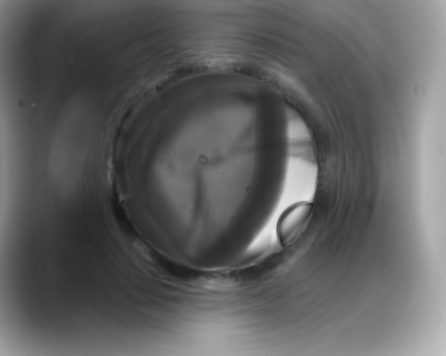 X0000088140644200706042010