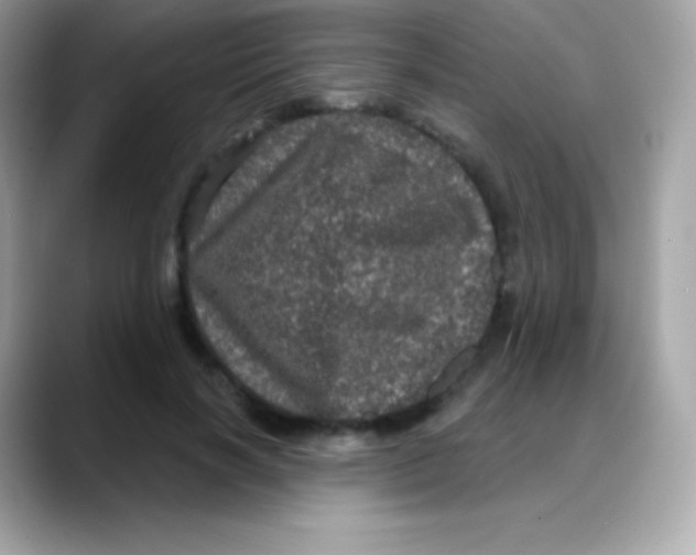 X0000088140646200706042010