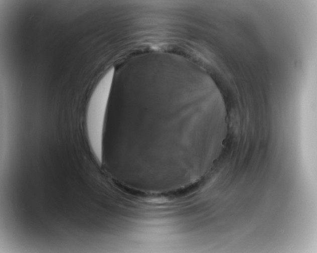 X0000088140650200706042010