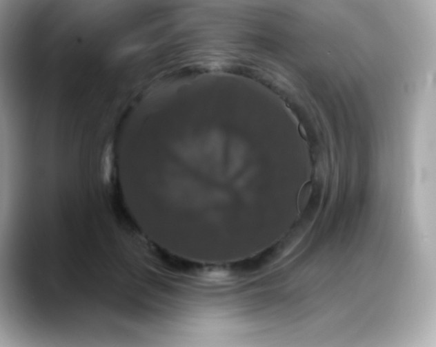 X0000088140651200706042010