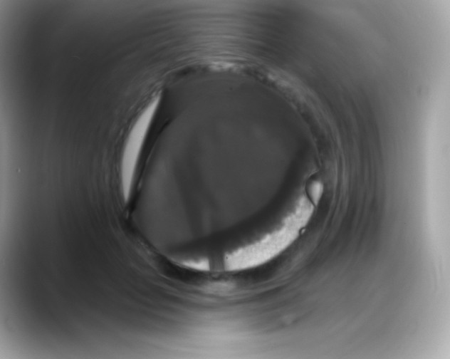 X0000088140653200706042010