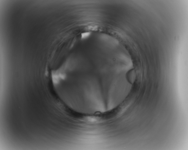 X0000088140654200706042010