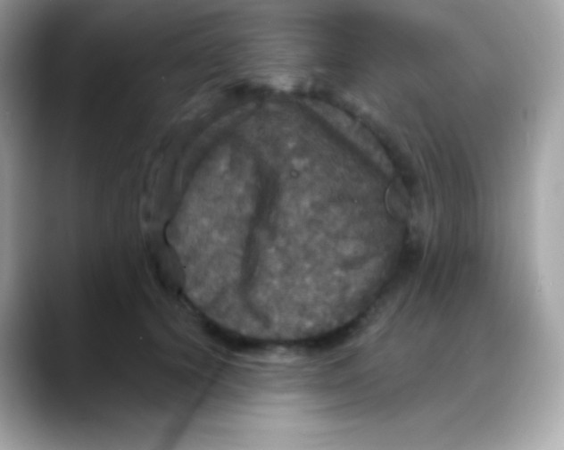 X0000088140656200706042010