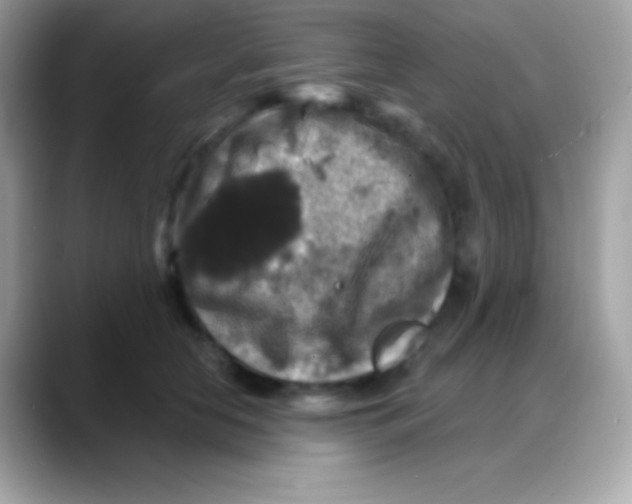 X0000088140658200706042010