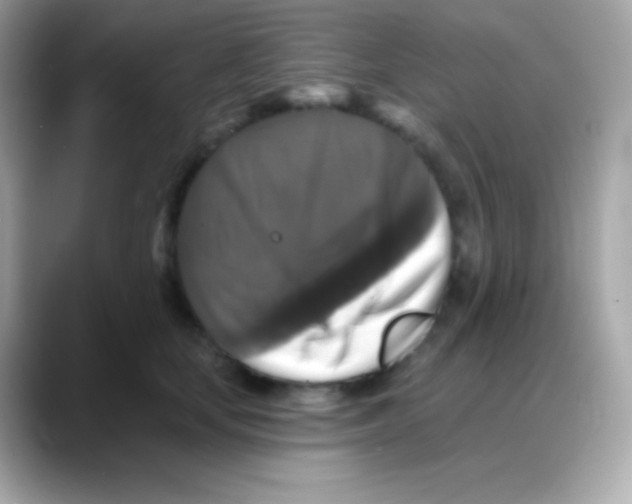 X0000088140659200706042010