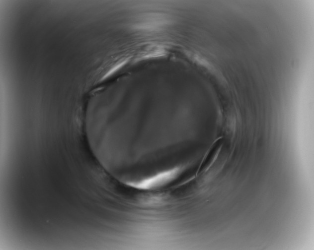 X0000088140661200706042010