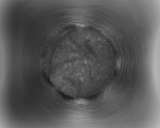 X0000088140666200706042010