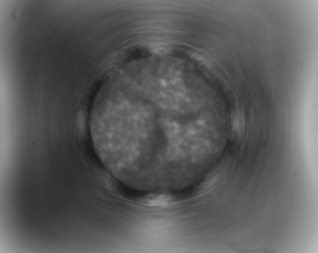 X0000088140667200706042010