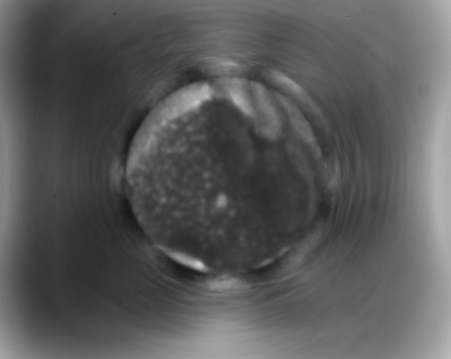 X0000088140669200706042010