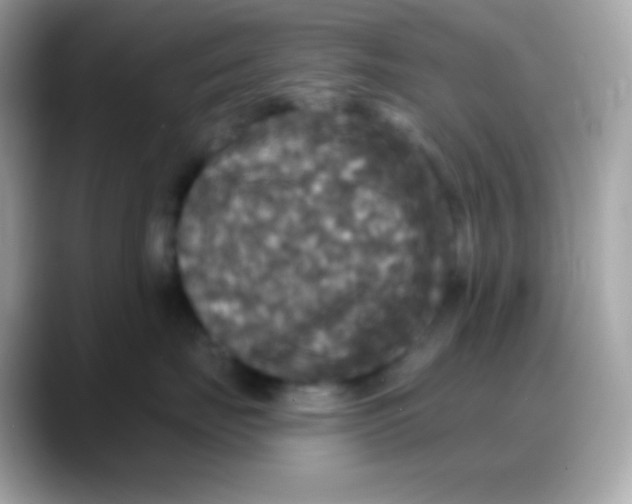 X0000088140671200706042010