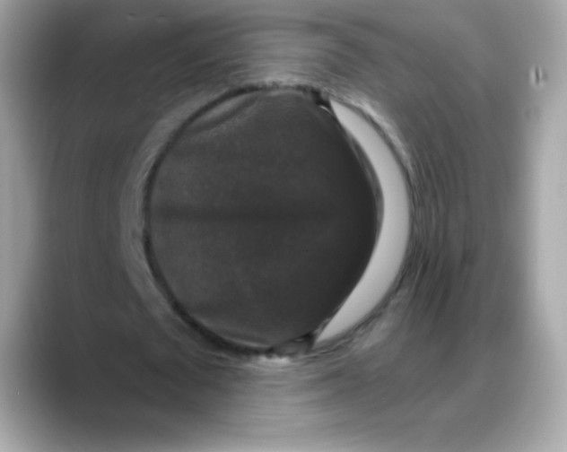 X0000088140673200706042009