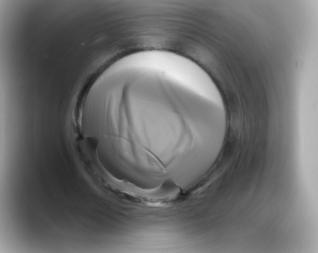 X0000088140674200706042009